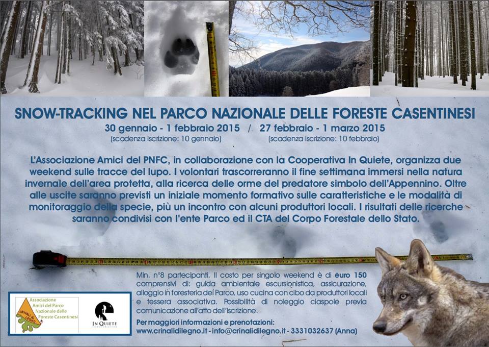 Snow tracking nel Parco Foreste Casentinesi